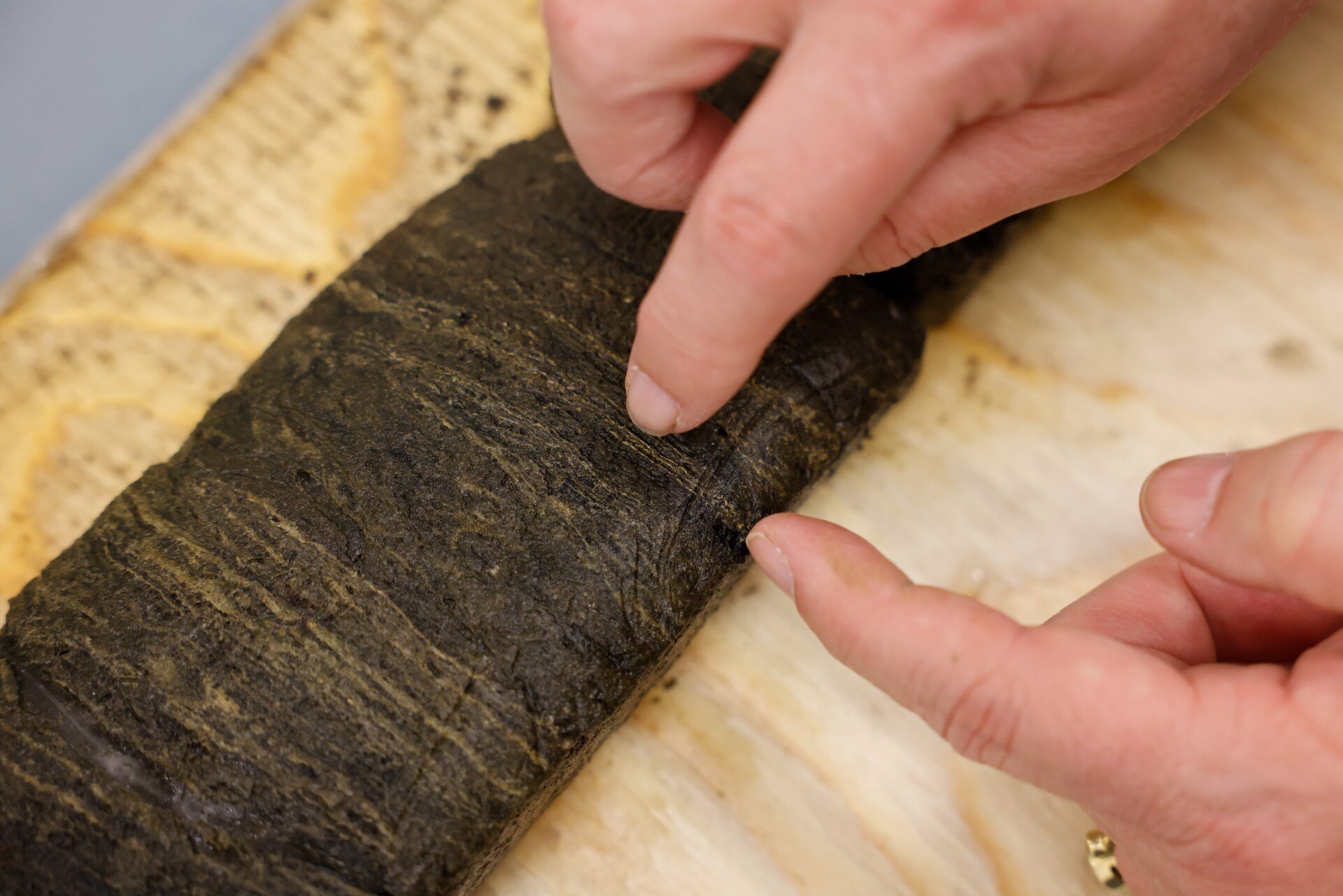 A cylinder of sediment showing thin brown and white layers, with a woman's hand pointing them out