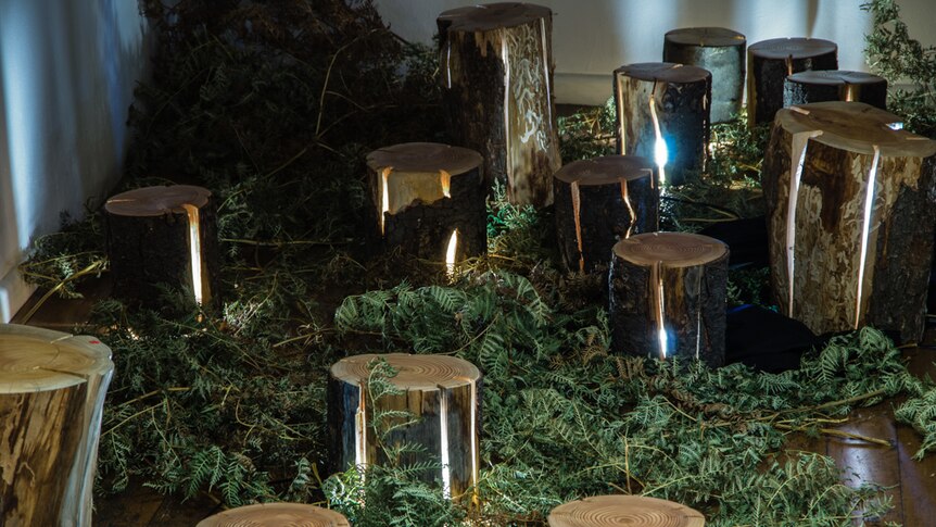 A collection of cracked log lamps made by Duncan Meerding is made for sustainability and environment.