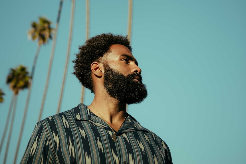 A man looks at palm trees that line the sky in LA.