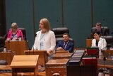 Nicole Manison talks in parliament