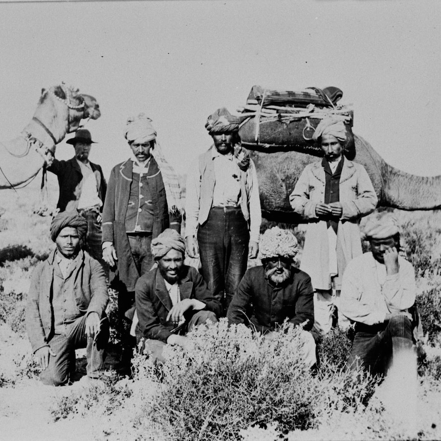 A group of cameleers with camels.
