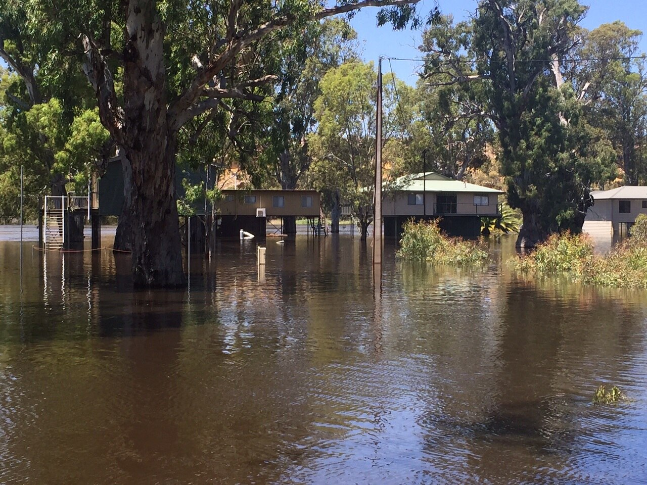 River Murray shacks, campgrounds submerged as waters peak at