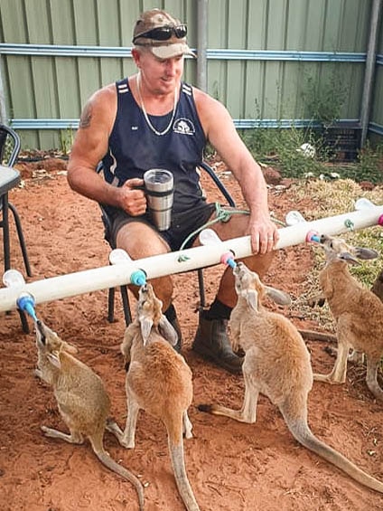 A man with a flask-cup of coffee in hand feeds a row of four joeys with a special multiple feeding tool he made himself.