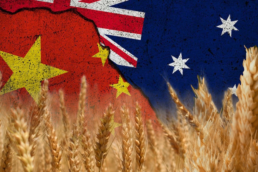 A composite photo of Australian and Chinese flags combined with a grain photo overlaid 
