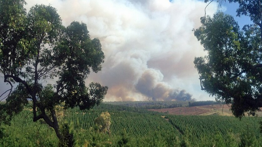 Bridgetown bushfire