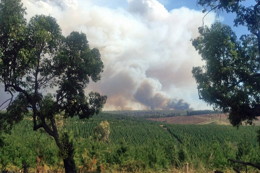 Bridgetown bushfire