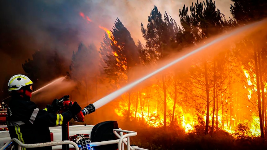 Firefighter using hose to fight wildfire.