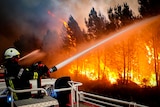 Firefighter using hose to fight wildfire.