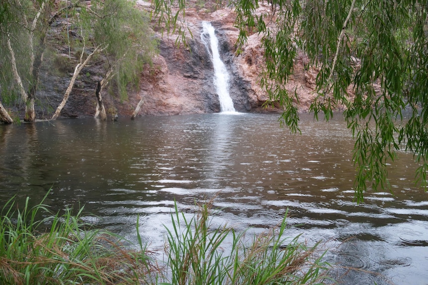 a waterfall cascades into a waterhole with paperbark trees