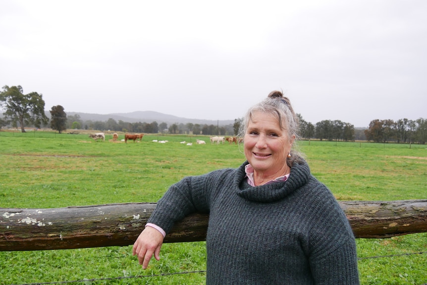 A photo of Deb Dance in a paddock.