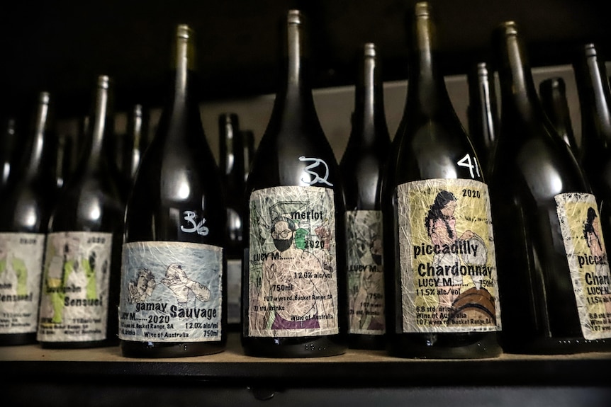 A row of wine bottles on  a shelf with decorative labels with hand-drawn illustrations
