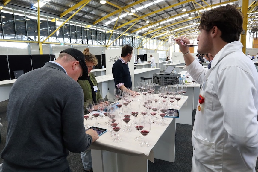 Judges tasting wine at a table with many glasses on it.