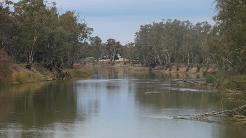 Murray River flowing through Barmah in Victoria.