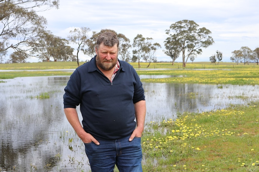 The glimmer of hope for Richard is this season's rainfall, which has broken two years of successive drought.