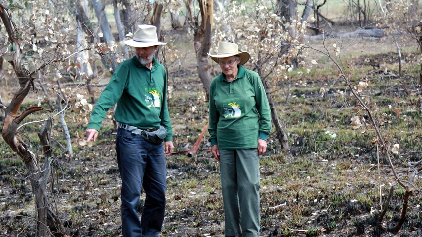 Land carers inspect controlled burn site.
