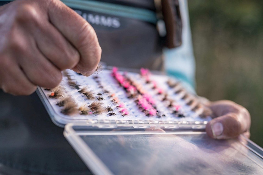 A box of artificial flies (for fly fishing)