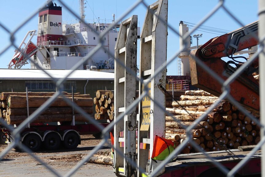 Logs on Macquarie Wharf