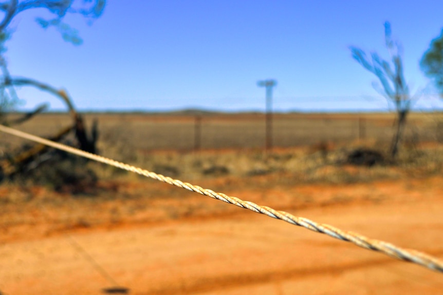 A powerline lying across a country road fringed by red earth.