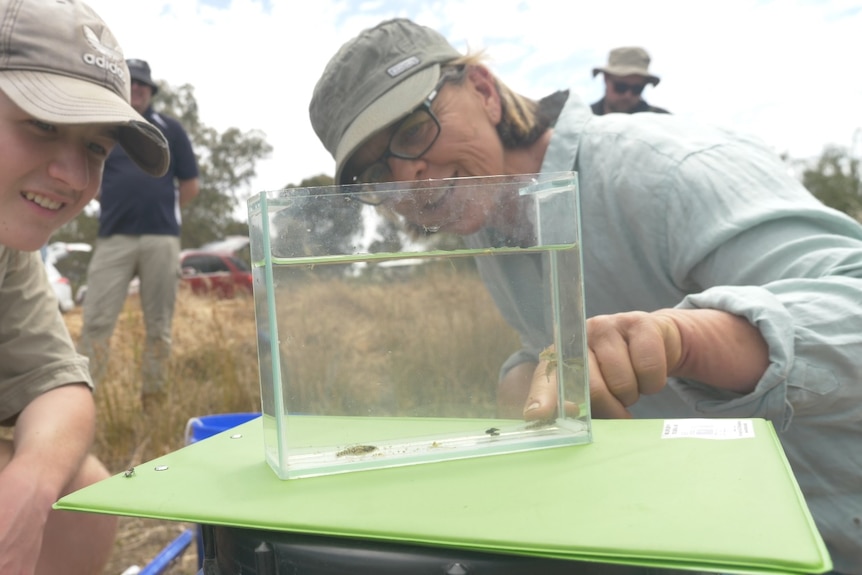 A teenager and his mum looking at small fish in a glass container.