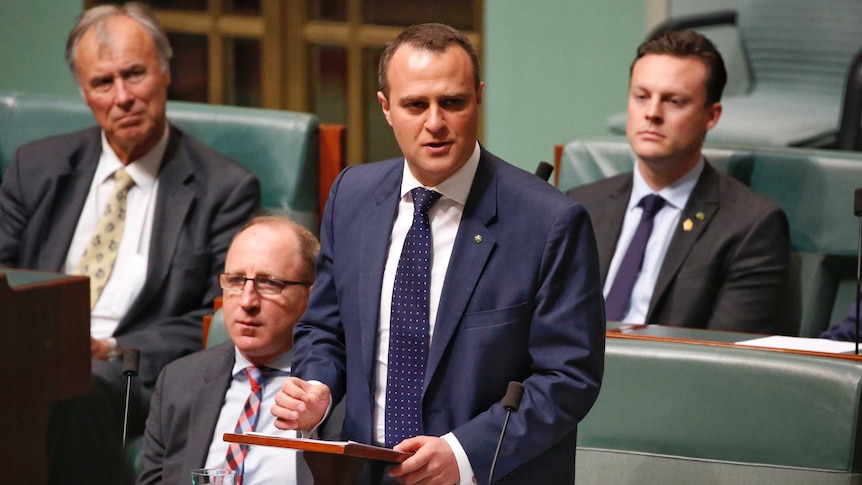 Tim Wilson wears a dark suit and delivers maiden speech to the parliament.