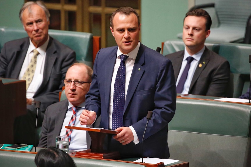 Tim Wilson wears a dark suit and delivers maiden speech to the parliament.