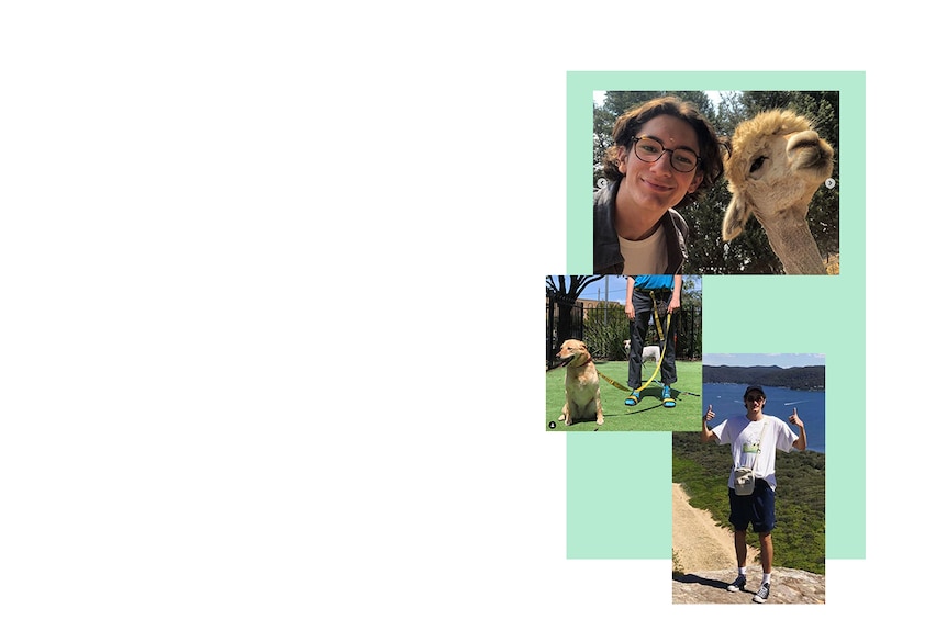 A young man with an alpaca, dog and at the beach.