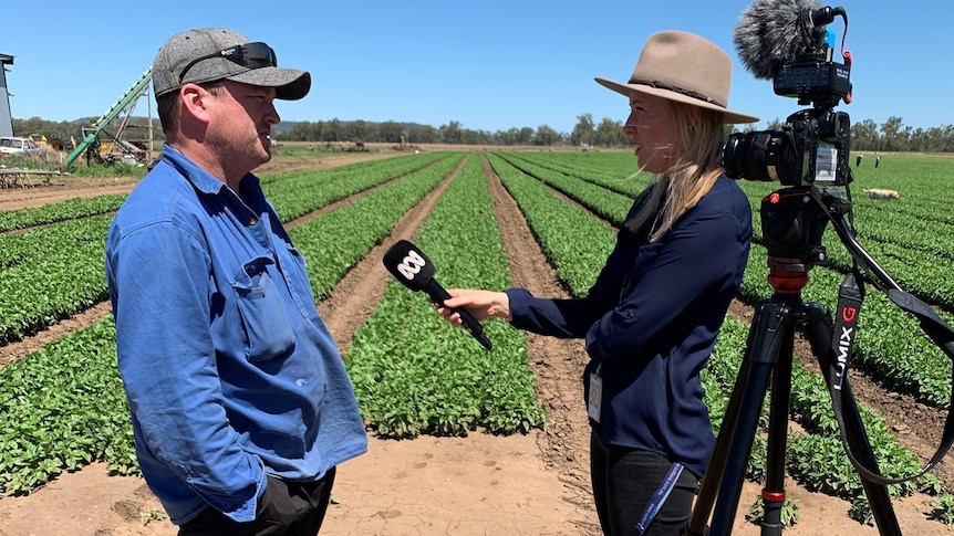 Meg Bolton rural reporter