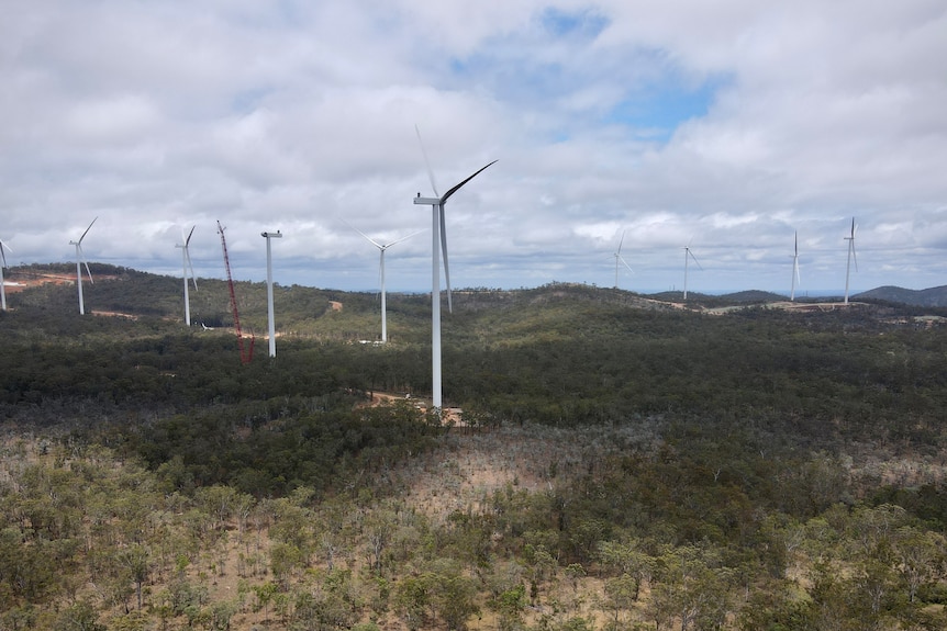 A wide shot of several wind turbines spread across a hilly wooded area.