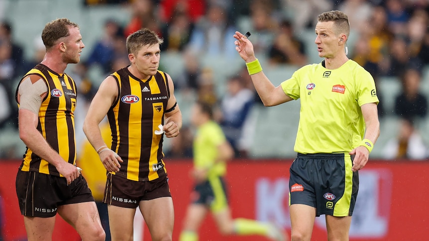 Tom Mitchell and Hawthorn players talk to an umpire