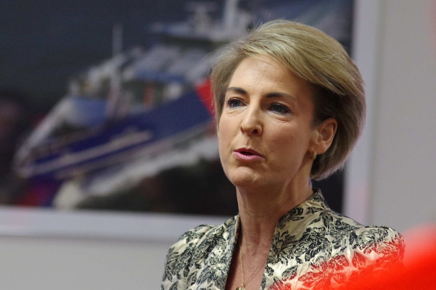 Michaelia Cash