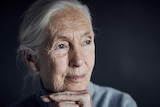 A close-up portrait of Jane Goodall looking into the distance.