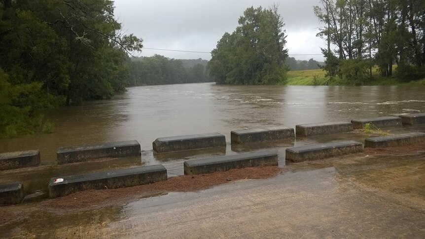The rising Moruya River near a bridge after heavy rainfall.