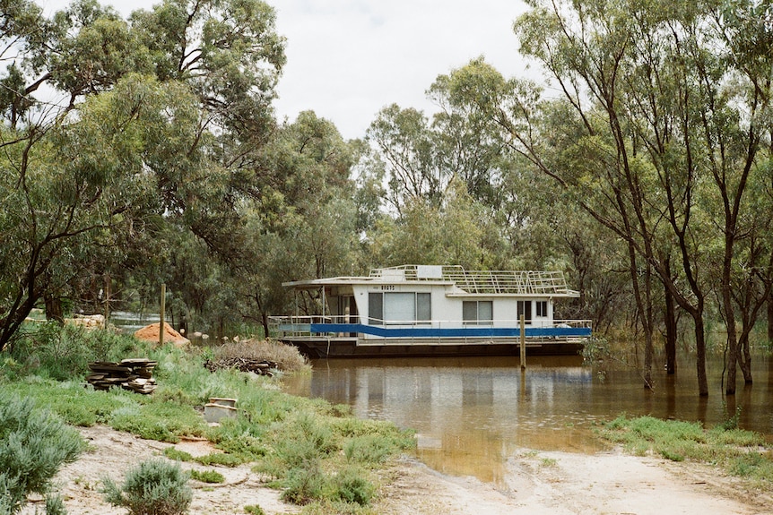 A houseboat in a pool of muddy water with trees all around it.