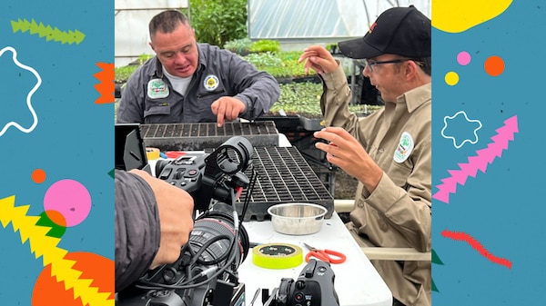 Two men planting seedlings being filmed by camera crew.