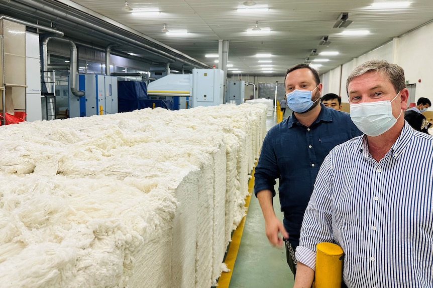 Two men are standing next to several tall cubed bales of cotton at their shoulder height and spanning the length of the room