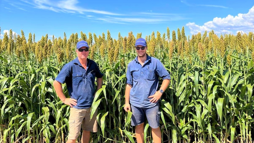 Two farmers stand in front of some corn 