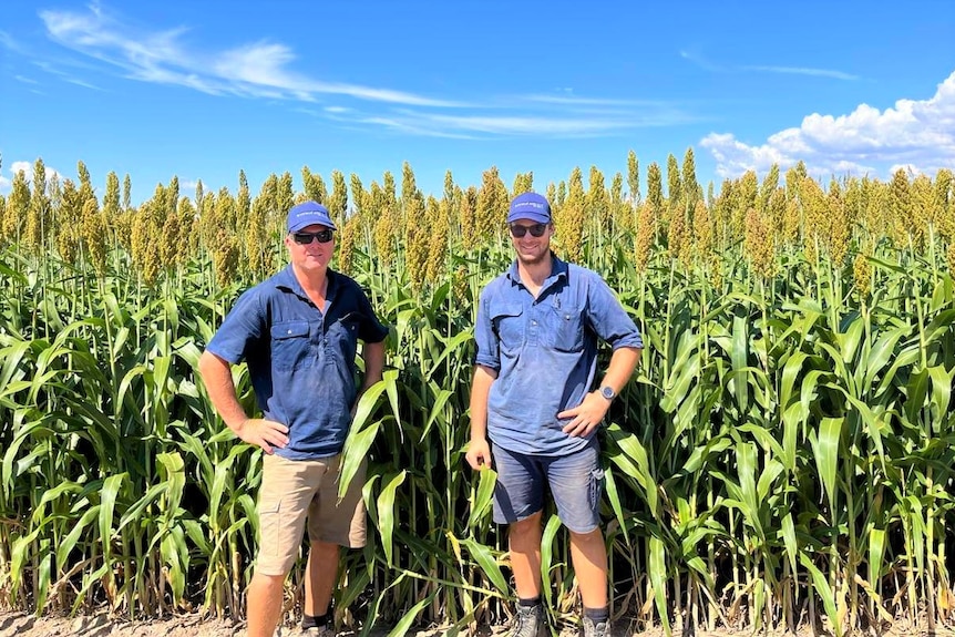 Two farmers stand in front of some corn 