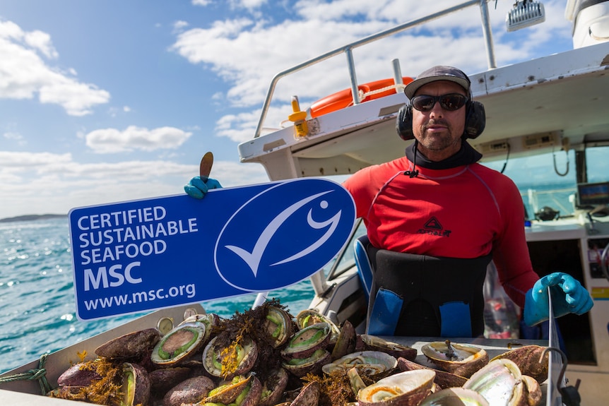 A diver with abalone displays the MSC logo.