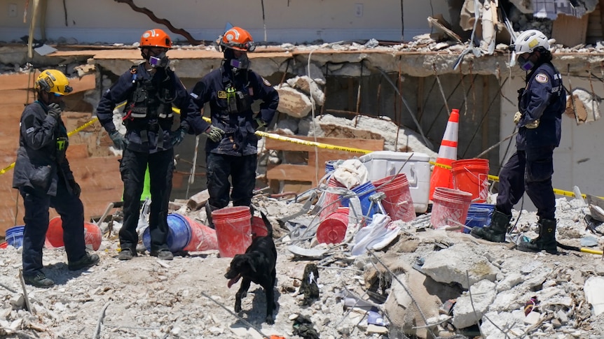 Four rescuers in full gear and helmets stand and watch a black sniffer dog search atop the rubble of a building.