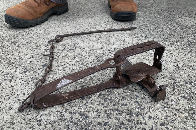 A man's boots next to a rabbit trap