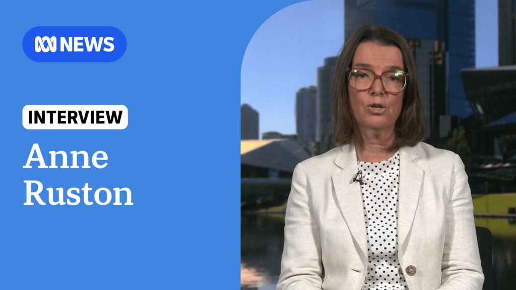 Shadow Health Minister Anne Ruston says GPs suffering under increased ...