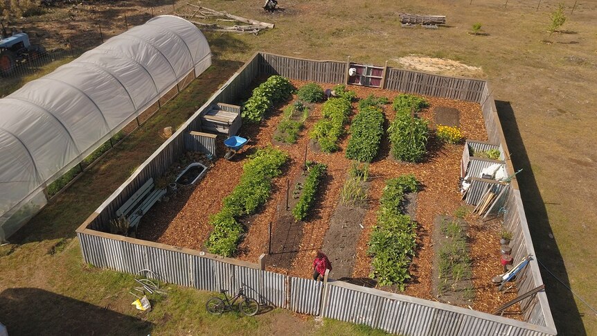 An aerial shot of a market garden containing vegetables in southern Tasmania