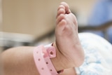 Infant's foot with hospital identity tag, generic image.