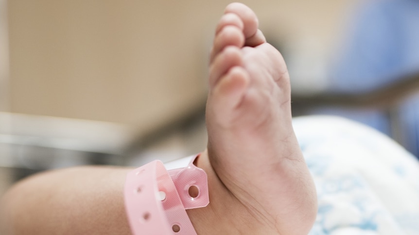 Infant's foot with hospital identity tag, generic image.