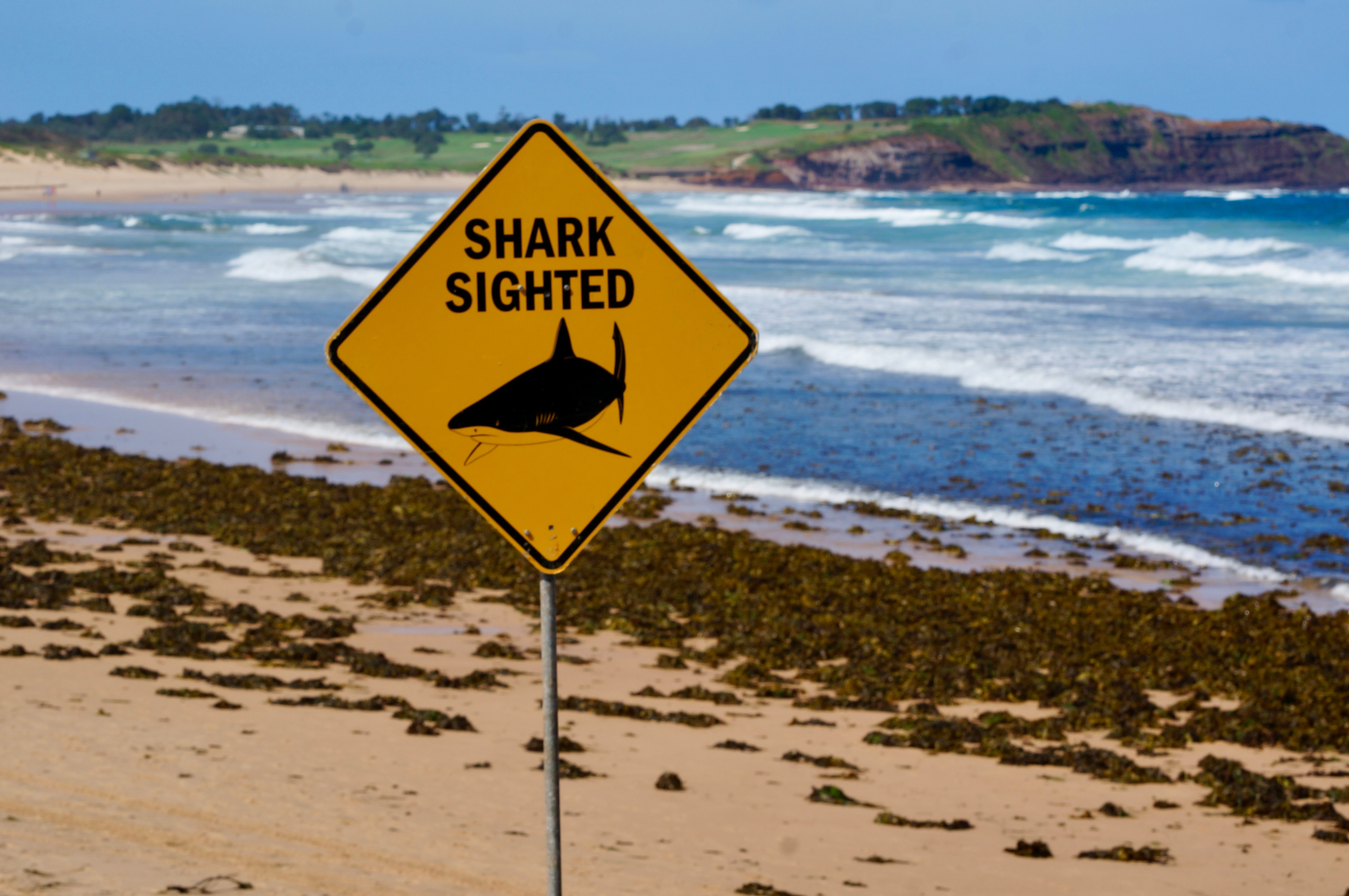 Australian shark attack data reveals where bite incidents happen most