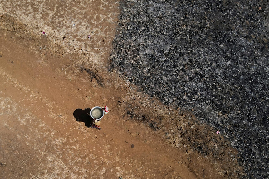 Drone image of a woman carrying a bucked of water over her head in rural area.