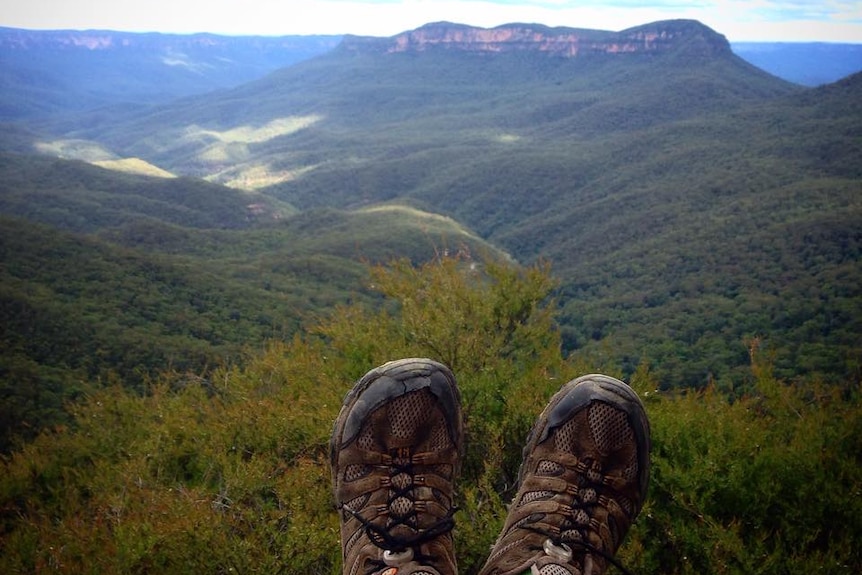 Blue Mountains National Park