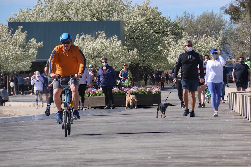 A man on a bike rides by pedestrians on a sunny day