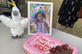 A pink birthday cake reads "happy 4th birthday Tharnicaa". There is a picture frame with the little girl and a toy.