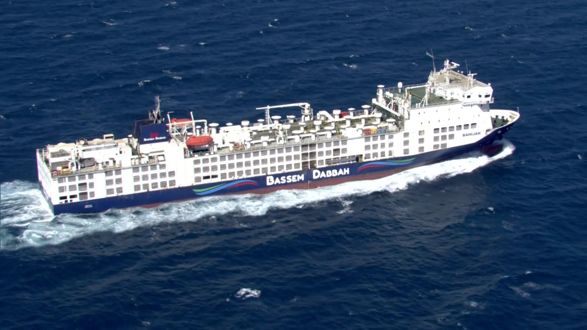 A livestock export ship on the ocean 